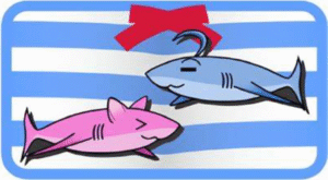 【安卓/IOS】GalGame 利器!吉里吉里 Kirikiroid 2 全版本下载!!!V1.3.9-玄夜の资源小站 - 获取千万好用软件游戏以及动漫推荐