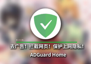 【全平台/工具】无感 去广告!拦截网页!防止DNS污染!保护上网隐私!ADGuard Home Docker版本-玄夜の资源小站 - 获取千万好用软件游戏以及动漫推荐