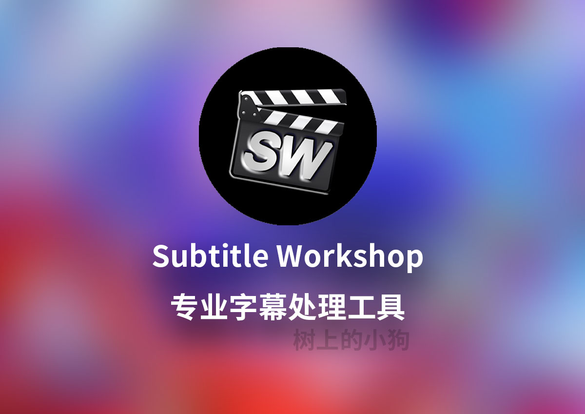 【PC/工具】专业字幕处理工具 Subtitle Workshop V6.3.4 中文汉化 / 免安装