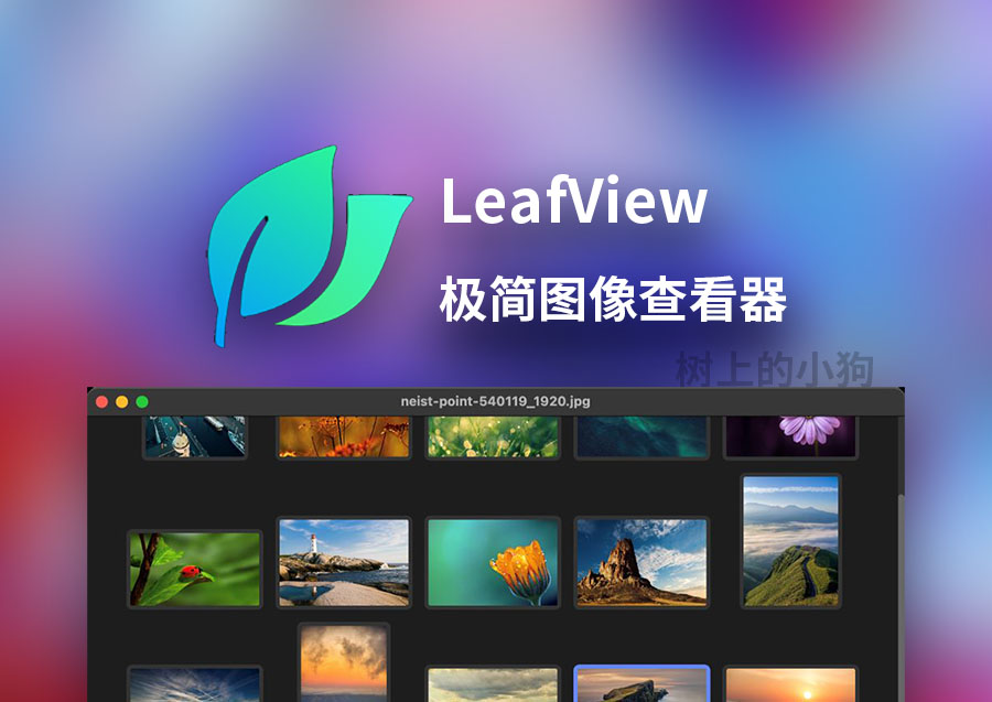 【PC/图片】轻量级图片查看器 LeafView v3.9.3 中文 / 免安装