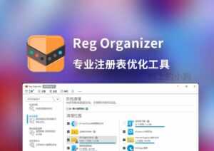【PC/工具】专业注册表优化 Reg Organizer V9.90 beta1 中文 | 免安装 - 玄夜の资源小站 - 获取千万好用软件游戏以及动漫推荐-玄夜の资源小站 - 获取千万好用软件游戏以及动漫推荐