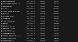 【ASMR】【王稀饭】中文音声① - 玄夜の资源小站 - 获取千万好用软件游戏以及动漫推荐-玄夜の资源小站 - 获取千万好用软件游戏以及动漫推荐